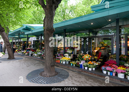 Ein Blumenmarkt auf Brivibas Bulvaris in Riga, Lettland, den baltischen Staaten Stockfoto