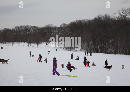 2013: Menschen und Familien genießen die ersten guten Schnee im Prospect Park; Brooklyn; NY. Stockfoto