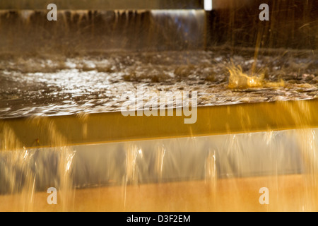 Wein in Kalifornien machen Stockfoto