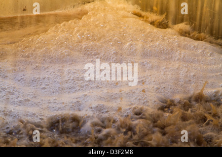 Wein in Kalifornien machen Stockfoto