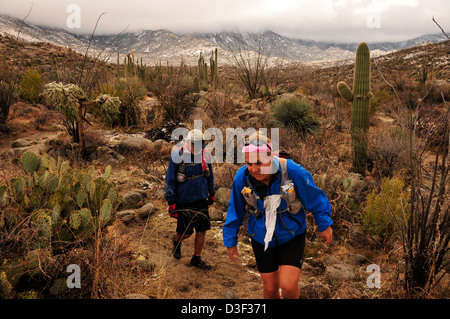 Ein Wintersturm fällt Schnee auf die Santa Catalina Mountains, Coronado National Forest, Sonora-Wüste, Catalina, Arizona, USA. Stockfoto