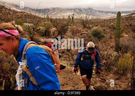 Ein Wintersturm fällt Schnee auf die Santa Catalina Mountains, Coronado National Forest, Sonora-Wüste, Catalina, Arizona, USA. Stockfoto