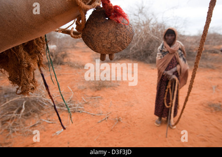 GURAH, nördlich von ELWAK Osten KENIAS, 1. September 2009: eine Hirtenbevölkerung Familie Rückkehr mit ihren Kamelen aus Äthiopien Stockfoto