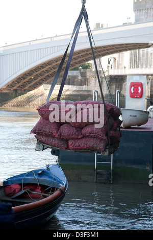 Muscheln, die Aufhebung von einem Boot auf der Uferstraße, Conwy in Nordwales, UK Stockfoto