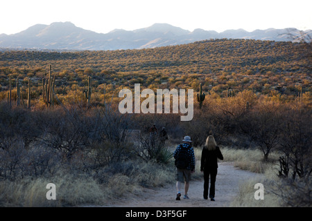 Zwei Menschen zu Fuß auf einem Pfad im Catalina State Park in der Nähe von Tucson Arizona, USA Stockfoto