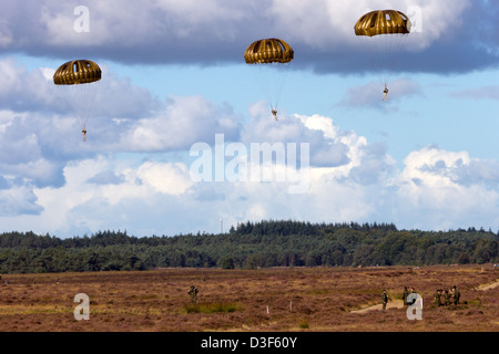 Fallschirmjäger aus verschiedenen NATO-Staaten während der Operation Market Garden Denkmal 2012. Ede, Niederlande Stockfoto