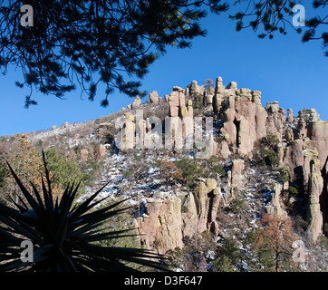 Chiricahua National Monument im winter Stockfoto