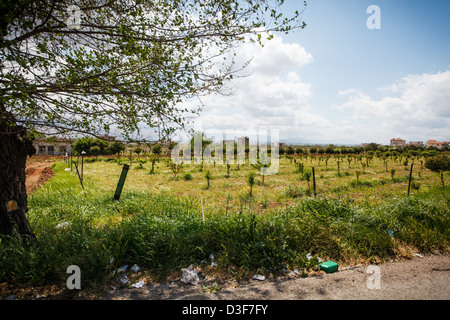 Streetside-Ansicht aus dem Beqaa Tal, nördlichen Libanon. Dieser Bereich wird manchmal die Wiege der Zivilisation bezeichnet. Stockfoto