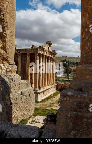 Venus-Tempel Ruinen in Baalbek, Libanon. Teil der antiken Stadt Heliopolis im Beqaa Tal. Stockfoto