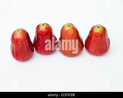 Rose Äpfel, Syzygium jambos Stockfoto