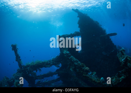 Korallen und Schwämme verkrustet am Rahmen des Liberty Wrack in Bali, Indonesien. Stockfoto