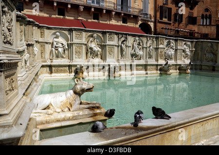 Der Fonte Gaia (glücklich Brunnen) in Piazza del Campo in Siena Italien Stockfoto