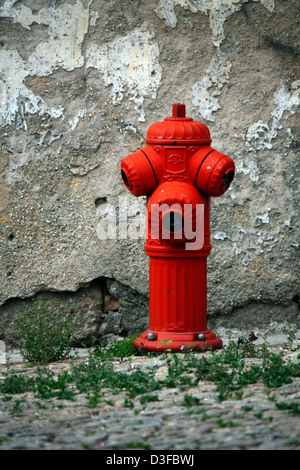 Blick auf einen roten Feuer-Stecker befindet sich auf einer Straße neben einer verfallenen Mauer. Stockfoto