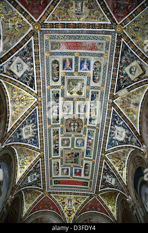 Decke mit Fresken verziert, von Bernardino Pinturicchio in die Libreria Piccolomini in der Duomo in Siena Stockfoto