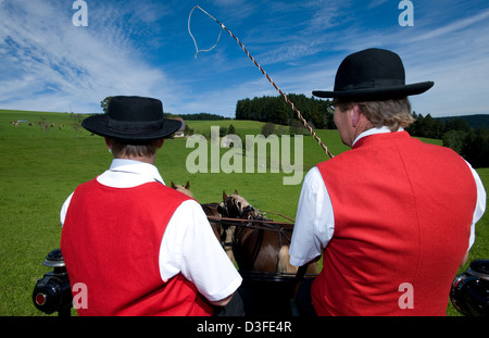 St. Märgen, Deutschland, Vater und Sohn auf einem Pferdewagen auf traditionelle Rosstag Stockfoto