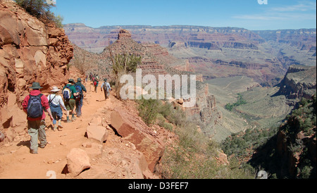 Grand Canyon NP Bright Angel Trail Gruppe wandern  0215 Stockfoto