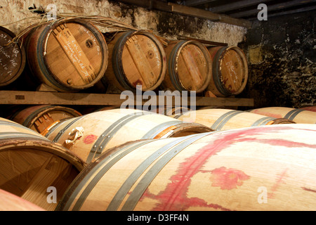 Haut-Medoc, Frankreich, Chateau Barriquefaesser Micalet Stockfoto