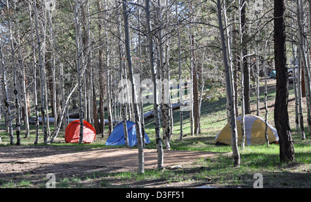 Grand Canyon North Rim Campground 0082 Stockfoto