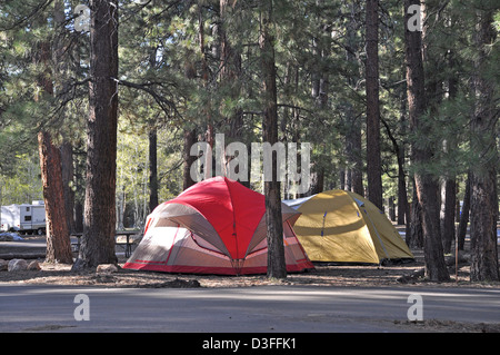 Grand Canyon North Rim Campground 0303 Stockfoto