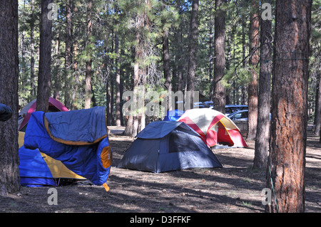 Grand Canyon North Rim Campground 0344 Stockfoto