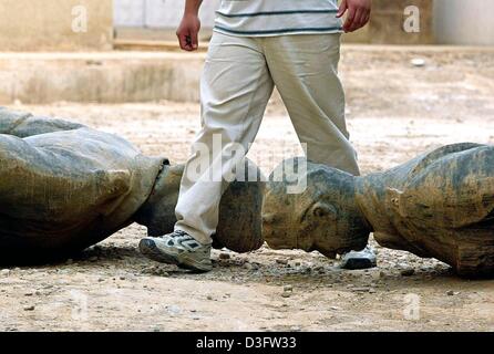 (Dpa) - die Schritte eines Irakers über Statuen des ehemaligen irakischen Präsidenten Saddam Hussein, die auf dem Hof der Fabrik liegen die Repliken von den Diktator in Bagdad, 27. April 2003 produziert. Den Verbleib von Saddam Hussein und seine Söhne nach ihrem Regime gestürzt wurde nach wie vor unbekannt. Stockfoto