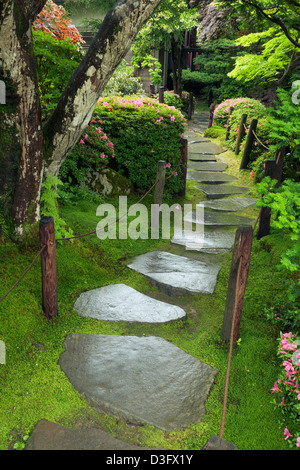 nassen Stein Weg in japanischen Zen-Garten im Sommer Stockfoto