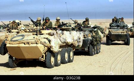 (Dpa) - leichte LAV Panzer von der 3. Licht Amoured Reconnaissance Battalion (LAR) verlassen Camp Coyote in Richtung der Grenze zum Irak in Kuwait, 18. März 2003. Die Soldaten erwarten die Aufträge für den Einsatz von US-Präsident Bush nach Ablauf des Ultimatums 48 Stunden. Stockfoto