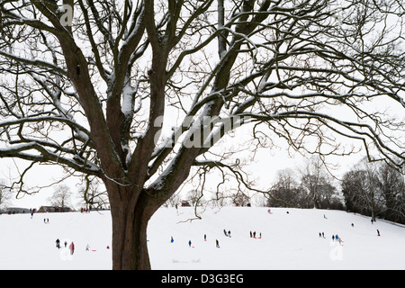 Menschen, die in der Sele, einem Park im Zentrum von Hexham, Northumberland, England Rodeln Stockfoto