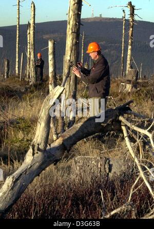 (Dpa) - Wald Wächter Michael Rudolf Und Gerhard Bendlin (R) untersuchen Tote Fir Stämme auf dem Wurmberg einen Hügel Höchststand gegenüber dem Brocken Berg (zurück) in der Nähe von Braunlage, Deutschland, 11. November 2003. Die Bäume starben von saurem Regen in den 1990er Jahren. Am 12. November 2003, veröffentlicht ein Bericht über die Schäden an Wäldern in Deutschland, sagt, dass fast die Hälfte der Bäume in Norddeutschland beschädigt werden. Stockfoto