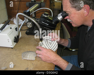 Grand Archäologie - IMG 4537 Stockfoto