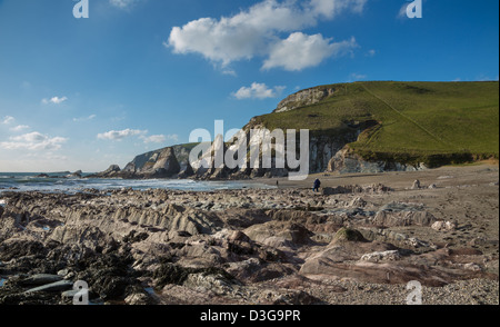 Die felsige Küste von Westcombe Beach in South Devon Uk. Stockfoto