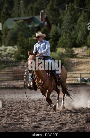 Cowboy Wrangler Reiten in Ranch, Montana USA Stockfoto