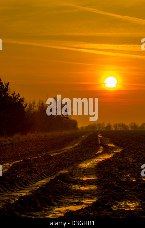 Sonnenuntergang über einem North Norfolk Ackerfläche mit Wasser soddened. Stockfoto