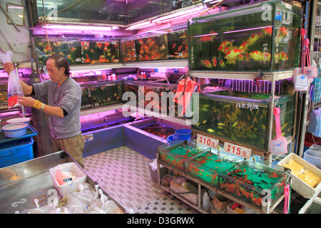 China, Hong Kong, Kowloon, Mong Kok, Goldfish Market, Stockfoto