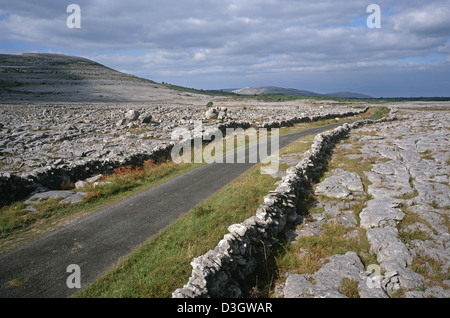 Kleinen Landstraße durch den Burren, Co Clare, Irland Stockfoto