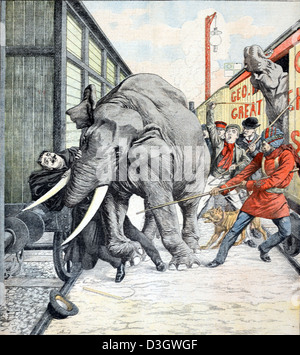 Tod des Elephant Trainers George William Lockhart (1849-1904) in Stampede durch 'Sauce' in Walthamstow Station England zermalmt. Vintage Illustration oder Gravur 1904 Stockfoto