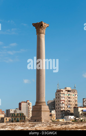 Pompeiuss Säule (Diokletian), römischer Triumphbogen Gedenksäule in Alexandria, Ägypten Stockfoto