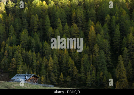 Val Schnalstaler, Italien, Rableid Alm im Pfossental Stockfoto