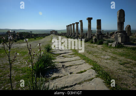 Triumphbogen in Volubilis, die antike römische Stadt in Marokko Stockfoto