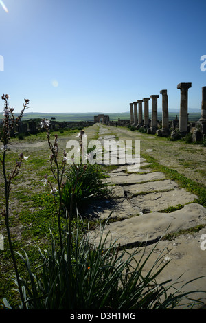 Triumphbogen in Volubilis, die antike römische Stadt in Marokko Stockfoto