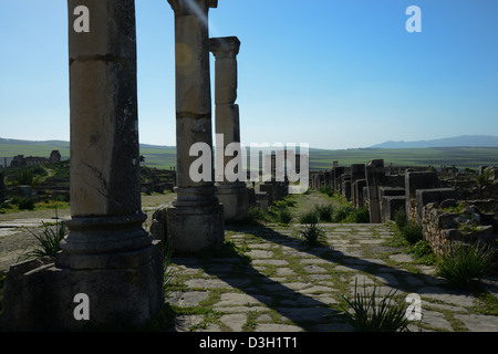 Triumphbogen in Volubilis, die antike römische Stadt in Marokko Stockfoto