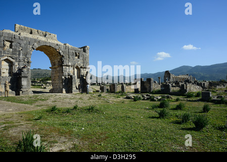 Triumphbogen, Volubilis, Marokko Stockfoto