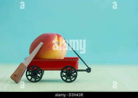 Aprikose in einem Mini-roten Wagen mit Mini Holz gesetzt sah, blauen Hintergrund Stockfoto