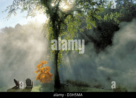 Zwei Adirondack-Stühle neben einem See am Morgen, wenn die Sonne aufgeht und der Nebel im Herbst neben einem orangefarbenen Sassafras-Baum in Missouri USA aufgeht Stockfoto