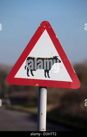 Vorsicht bei Rindern Straßenschild