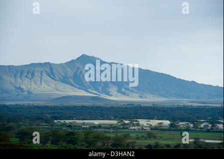 Blumenfarmen am Fuße des Mount Longonot, Naivasha, Kenia Stockfoto