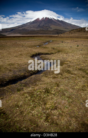 Gebirgskette Anden Ecuador Cotopaxi Landschaft Stockfoto