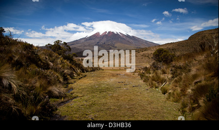 Gebirgskette Anden Ecuador Cotopaxi Landschaft Stockfoto