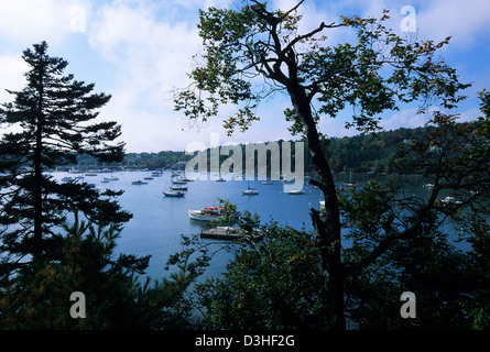 Elk282-1850 Maine, Mount Desert Island, Northeast Harbor Stockfoto
