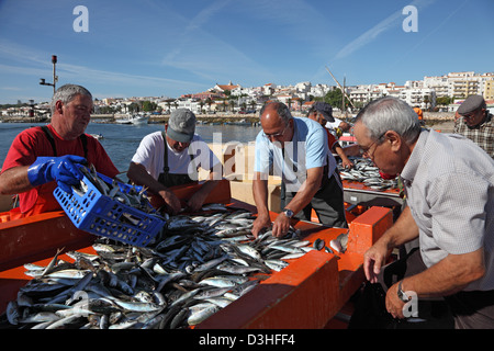 Fischer auf dem Fischmarkt in Lagos, Algarve, Portugal Stockfoto